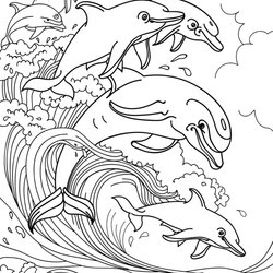 Superior Free Dolphin Coloring Pages Your Kids Will Love Download Printable Dolphins Page