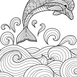 Perfect Dolphins Coloring Book Relaxing Patterns With Playful