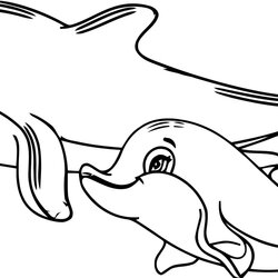 Brilliant Dolphins Coloring Pages Pictures Free Printable Sheets