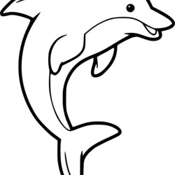 Dolphin Coloring Pages Dolphins Beautiful