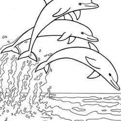 Splendid Free Easy To Print Dolphin Coloring Pages Jump