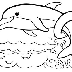 Dolphins Coloring Pages Pictures Free Printable Dolphin Trained