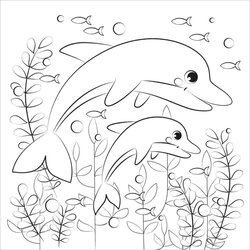Dolphins Swims Around The Corals Coloring Page Free Printable Dolphin Optimized Compressed