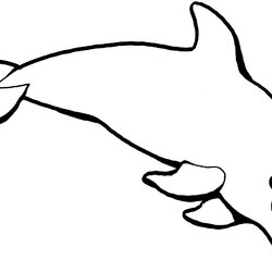 Preeminent The Dolphin Dives Under Sea Coloring Page Free Printable