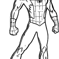 Wonderful Spider Man No Way Home Coloring Pages