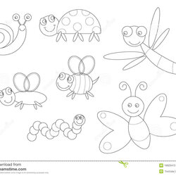 Download Insect Coloring For Free Insects