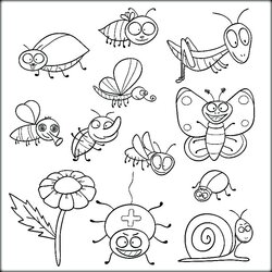 Fantastic Insect Coloring Pages At Free Download Insects Color Colouring Bugs Printable Kids Preschool Garden