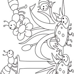 Spiffing Bugs Coloring Pages Preschool