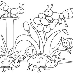 Supreme Bugs Coloring Pages Preschool At Free Printable Insects Color