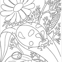 Ladybugs And Flowers Insects Kids Coloring Pages Color Print For Children