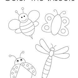 Sublime Color The Insects Coloring Page Twisty Noodle Insect