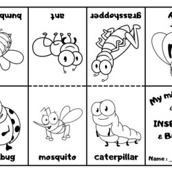 Champion Insects And Bugs Mini Coloring Book
