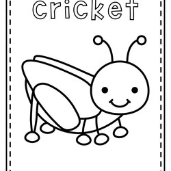 Splendid Bugs And Insects Coloring Pages