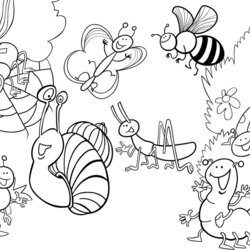Superb Beautiful Stock Bugs And Insects Coloring Pages Insect For Kids