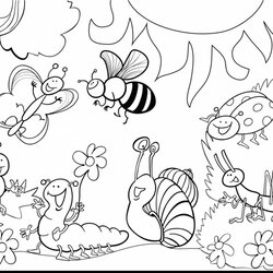 Perfect Insect Coloring Page Impressive Printable Pages With Ladybug