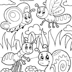 Insect Coloring Pages Best For Kids Bug Bugs Insects Spiders Cartoon Meadow Ant Snail Butterflies