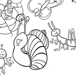 Wizard Beautiful Stock Bugs And Insects Coloring Pages Insect Bug Activity Free Printable Of
