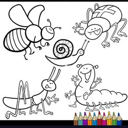 Free Coloring Pages Books Vector Images Bugs Insects