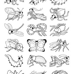 Marvelous Welcome To Dover Publications Bug Coloring Pages Insect Kids Colouring Color Stickers Book