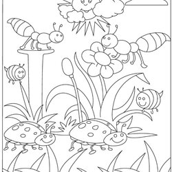 Eminent Free Bug Coloring Pages For Download Printable Bugs Page