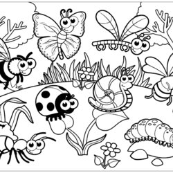 Admirable Bugs Coloring Pages For Kids Children Insects