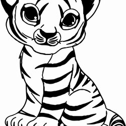 Wizard Printable Baby Animal Coloring Pages Awesome Nice Cute Tiger