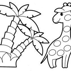 Animal Coloring Pages Best For Kids Giraffe