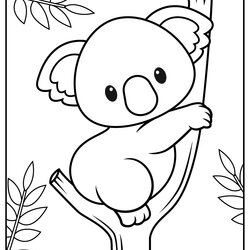 Fantastic Printable Baby Animals Coloring Pages Updated Koala