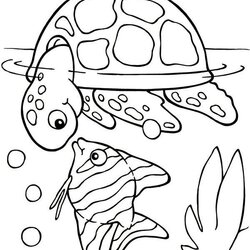 Sterling About Animal Coloring Page Colouring Home Pages