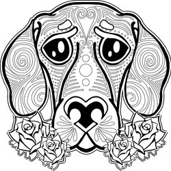 The Highest Standard Detailed Animal Coloring Pages At Free Printable Color Adults