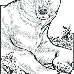 High Quality Wild Animals Coloring Pages Printable At Free Animal Book Color Print