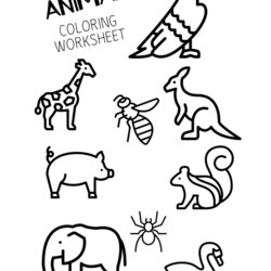 Very Good Animal Coloring Pages Free Downloads Preschool Animals Domestic Printable Worksheet