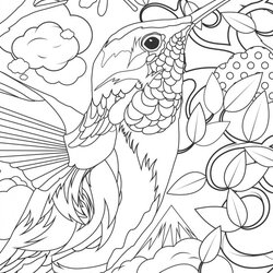 Brilliant Animal Coloring Pages For Adults Best Kids