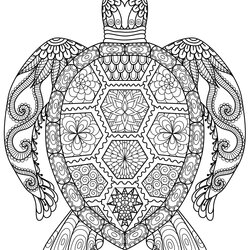 The Highest Quality Free Mindfulness Coloring Page Home