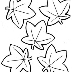 Terrific Free Printable Fall Leaves Coloring Pages Autumn