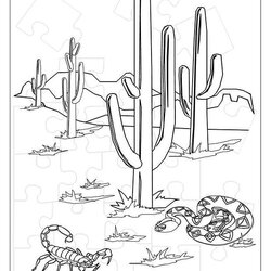 Matchless Desert Coloring Pages For Kids Home Printable Popular