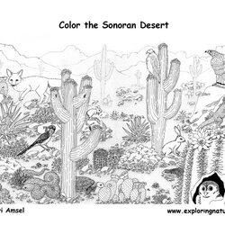 Preeminent Desert Coloring Pages To Download And Print For Free Animals Detailed Kids Deserts Animal Habitat