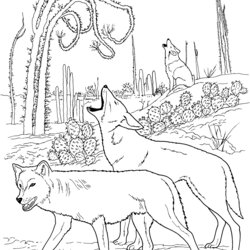 Desert Coloring Pages To Download And Print For Free Wolf Wildlife Coyotes Howling Color Pack Printable