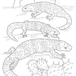 Great Desert Coloring Pages To Download And Print For Free Animals Printable Landscape Kids Animal Oasis