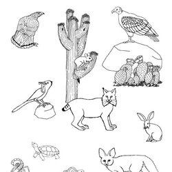 Desert Coloring Pages To Download And Print For Free