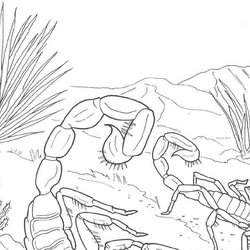 Exceptional Desert Coloring Pages To Download And Print For Free