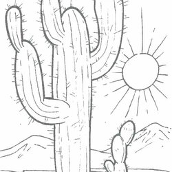 Fine Desert Coloring Pages Printable At Free Download