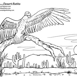 Desert Coloring Pages To Download And Print For Free Animals Kids Drawing Animal Landscape Color Sahara