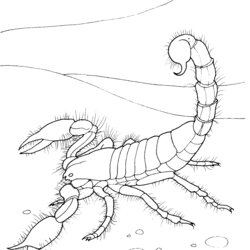 Supreme Desert Coloring Pages To Download And Print For Free Scorpion Animals Printable Giant Kids Color