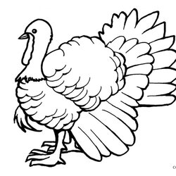 Splendid Free Printable Turkey Coloring Pages For Kids Full Page