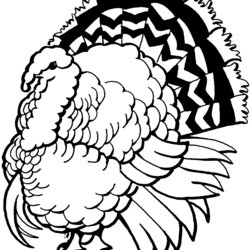 Fantastic Free Turkey Coloring Pages Realistic Super Online Colorful Panda