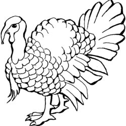 Peerless Free Printable Turkey Coloring Pages For Kids Color Drawings Page