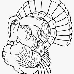 Smashing Coloring Pages Turkey Free And Printable Thanksgiving Sketches Lots Different Than Fun Also These