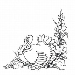 Worthy Free Printable Turkey Coloring Pages For Kids Thanksgiving Turkeys