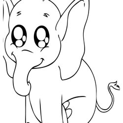 Smashing Animals Coloring Pages Printable Baby Cute Animal Print Color Kids Easy Realistic Elephant Girls
